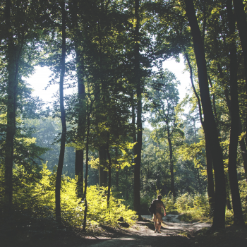 Le bien-être fait aussi du bien au tourisme