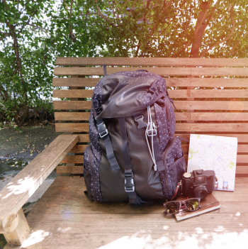 Intentions de voyage des Canadiens pour l’été 2018