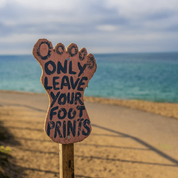 Célébrer le voyage… de façon responsable