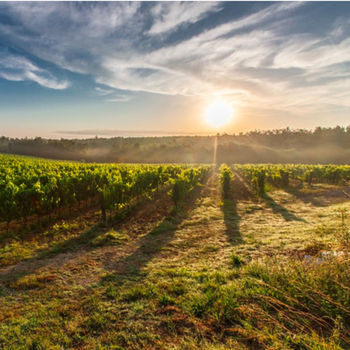 Composer avec les changements climatiques
