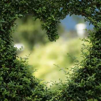 Les grandes observations 2020: la transition écologique