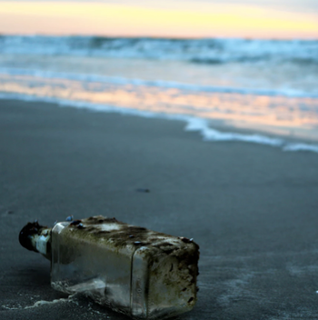 Développer la conscience écologique des voyageurs