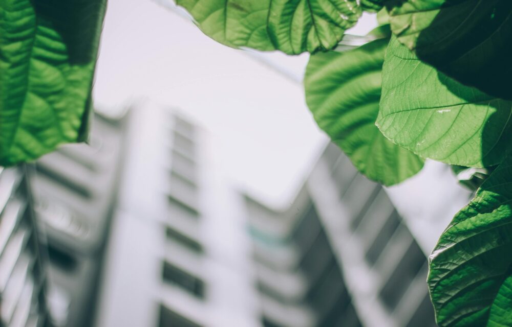 Virage durable des entreprises : où en sommes-nous ?