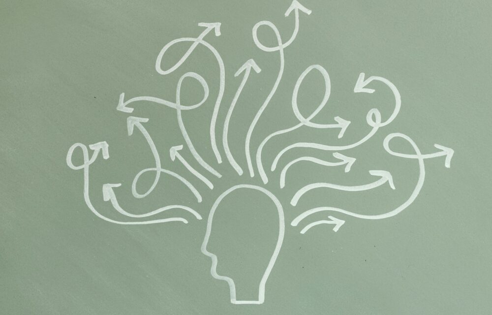 Destinations fraiches et alternatives demandées